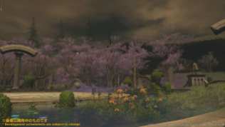 Final Fantasy XIV Screenshot 2020-04-24 13-36-46
