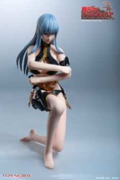 Valkyria Chronicles Selvaria Figure (19)