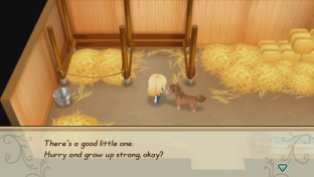 Story of Seasons Friends of Mineral Town (10)