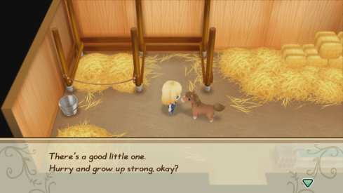 Story of Seasons Friends of Mineral Town (10)