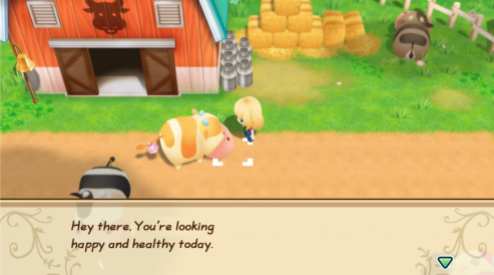 Story of Seasons Friends of Mineral Town (11)