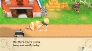 Story of Seasons Friends of Mineral Town (11)