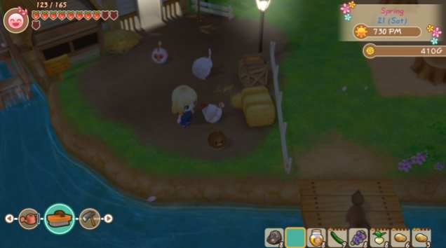 Story of Seasons Friends of Mineral Town (12)