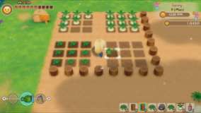 Story of Seasons Friends of Mineral Town (2)