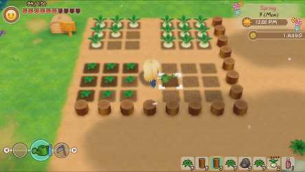Story of Seasons Friends of Mineral Town (2)