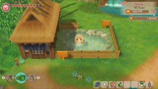 Story of Seasons Friends of Mineral Town (4)