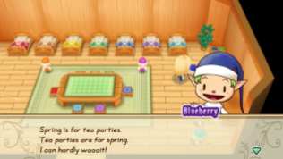 Story of Seasons Friends of Mineral Town (6)