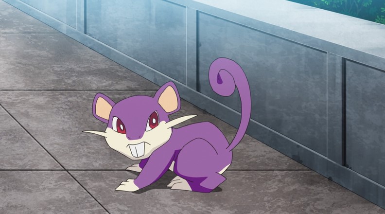 rattata stuffed animal