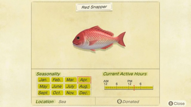 animal crossing new horizons red snapper