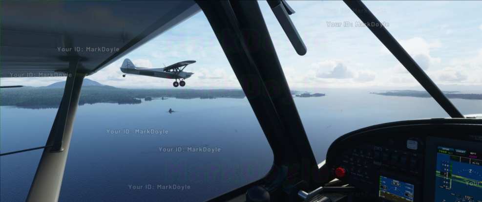 Microsoft Flight Simulator (1)