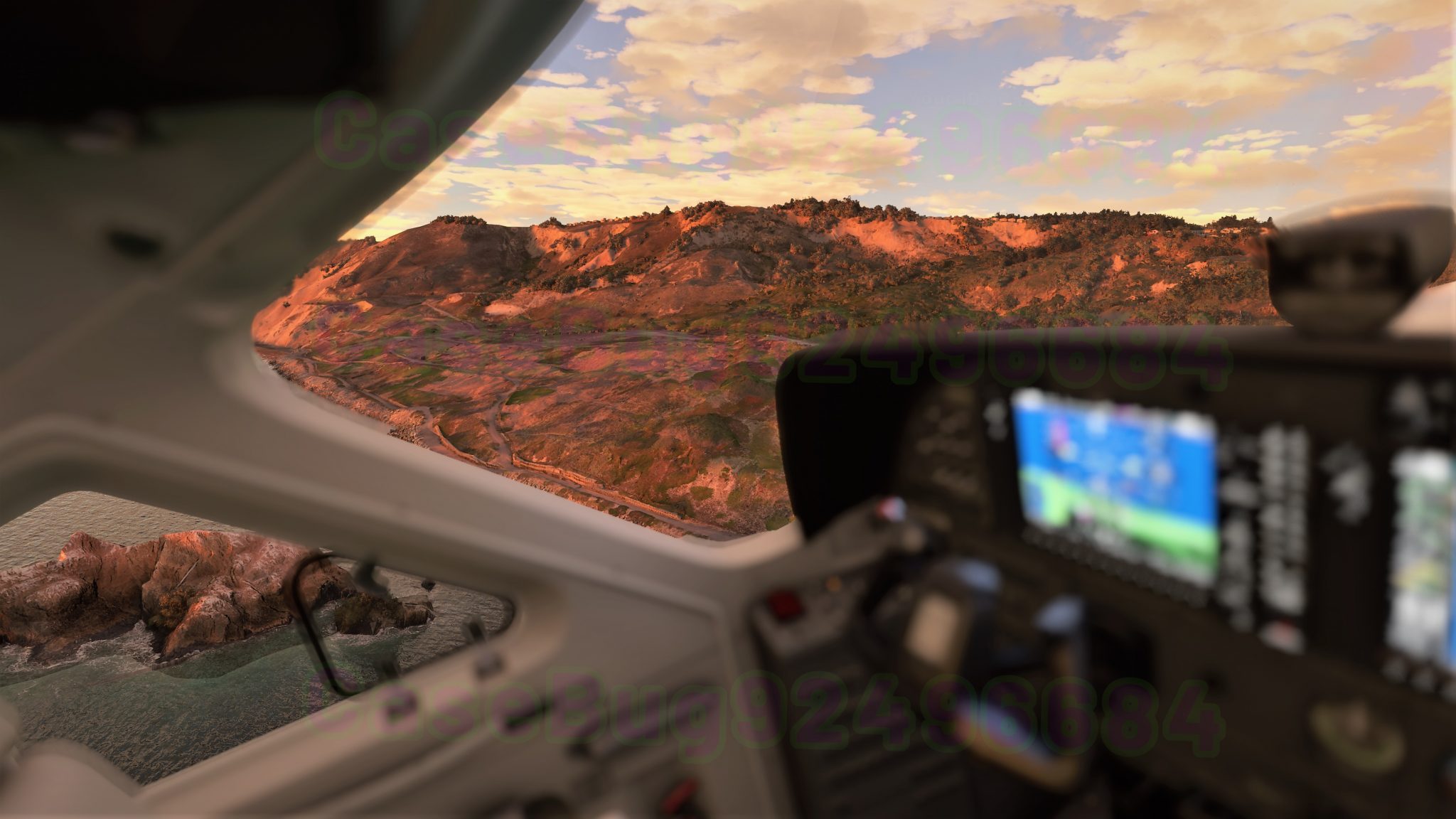 Microsoft Flight Simulator (11)