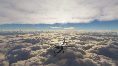 Microsoft Flight Simulator (11)