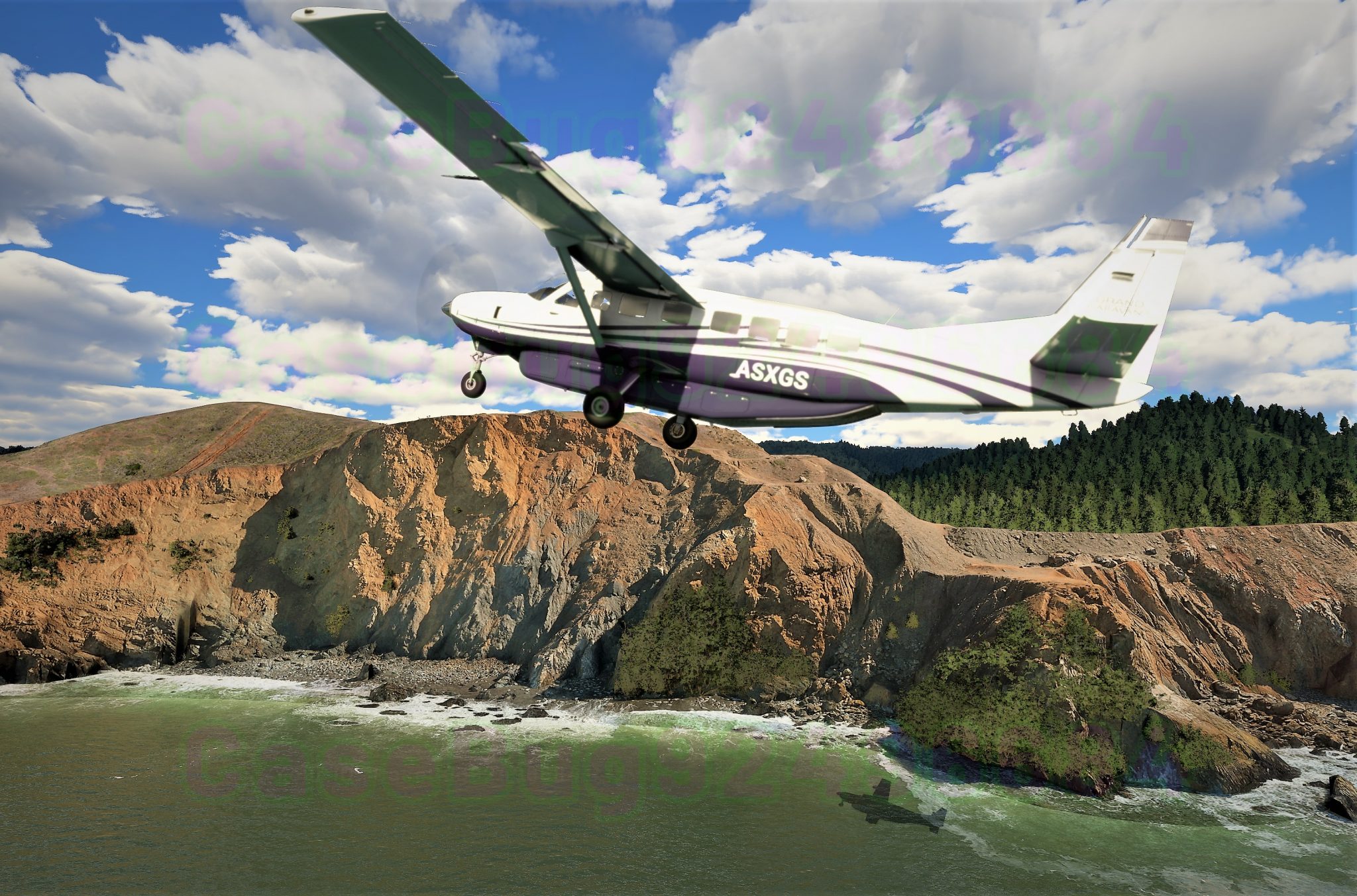 Microsoft Flight Simulator (12)