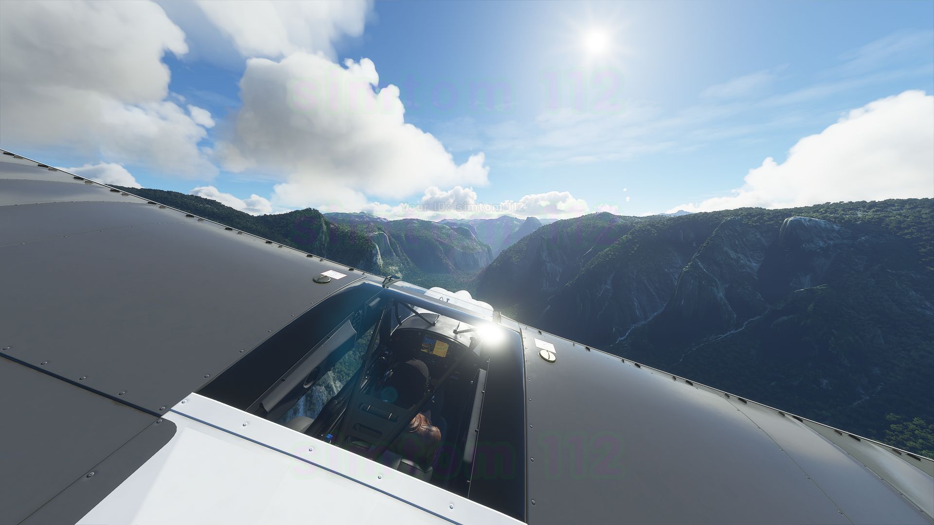 Microsoft Flight Simulator (15)