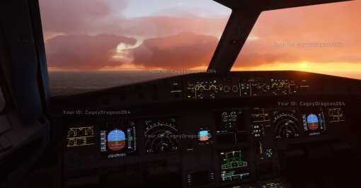 Microsoft Flight Simulator (3)