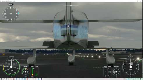 Microsoft Flight Simulator (6)