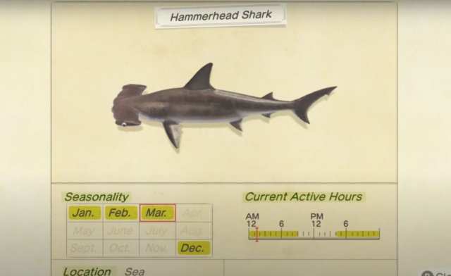 animal crossing new horizons, hammerhead shark