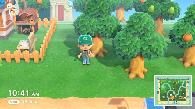 how to get acorns in animal crossing new horizons
