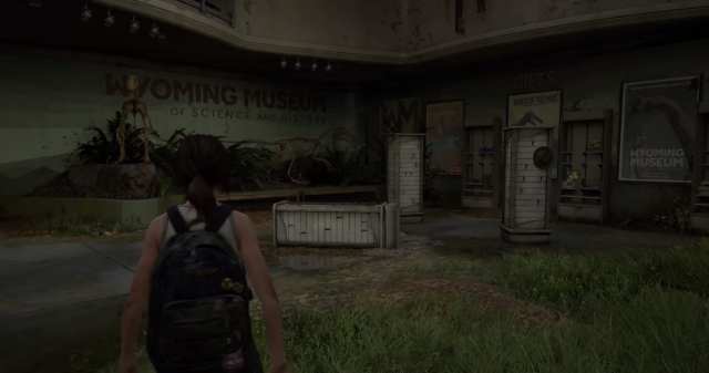 how to place a hat on companion last of us 2
