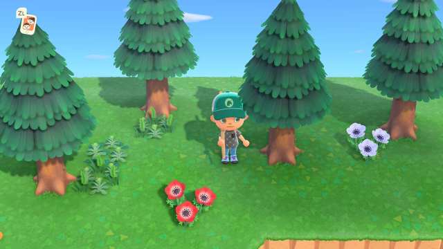 how to get pine cones in animal crossing new horizons
