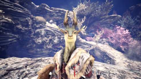 Monster Hunter World Iceborne (13)
