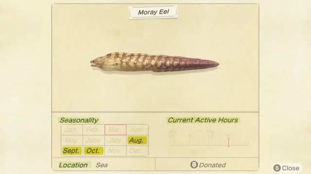 moray eel animal crossing new horizons