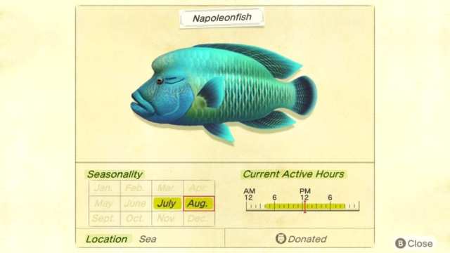 napoleonfish animal crossing new horizons