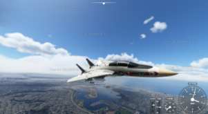 Microsoft Flight Simulator (1)