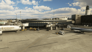 Microsoft Flight Simulator (27)