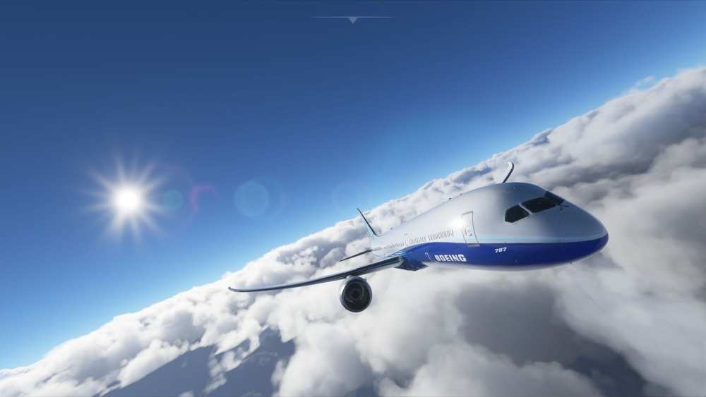 Microsoft Flight Simulator (29)