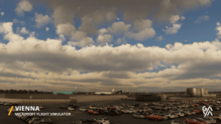 Microsoft Flight Simulator (31)