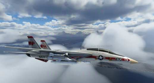 Microsoft Flight Simulator (4)