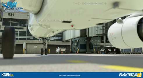 Microsoft Flight Simulator (4)