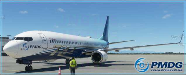 Microsoft Flight Simulator (4)