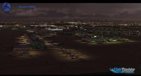 Microsoft Flight Simulator (5)