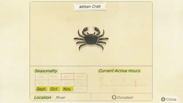 how to catch mitten crab in animal crossing new horizons, sell price, location