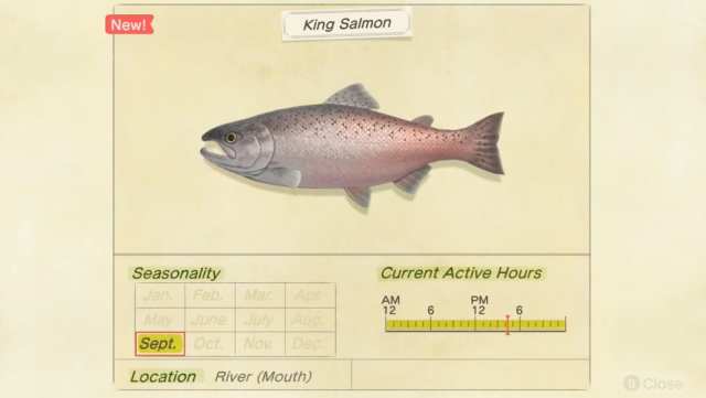 king salmon animal crossing new horizons