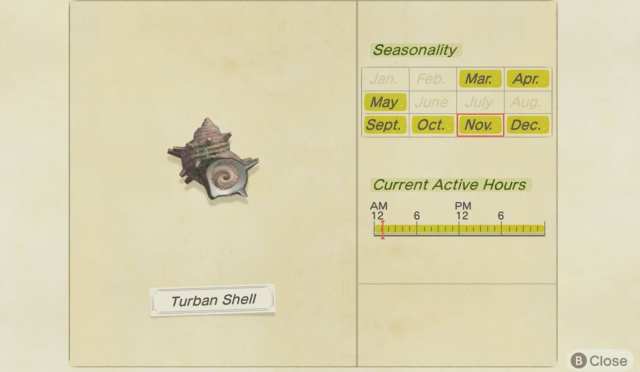 Turban shell, animal crossing new horizons