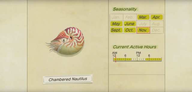 Animal crossing new horizons chambered nautilus