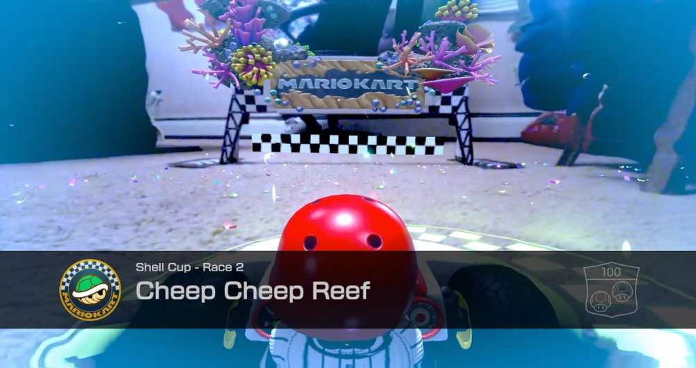 cheep cheep reef