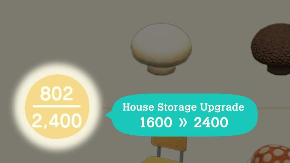 house storage upgrade