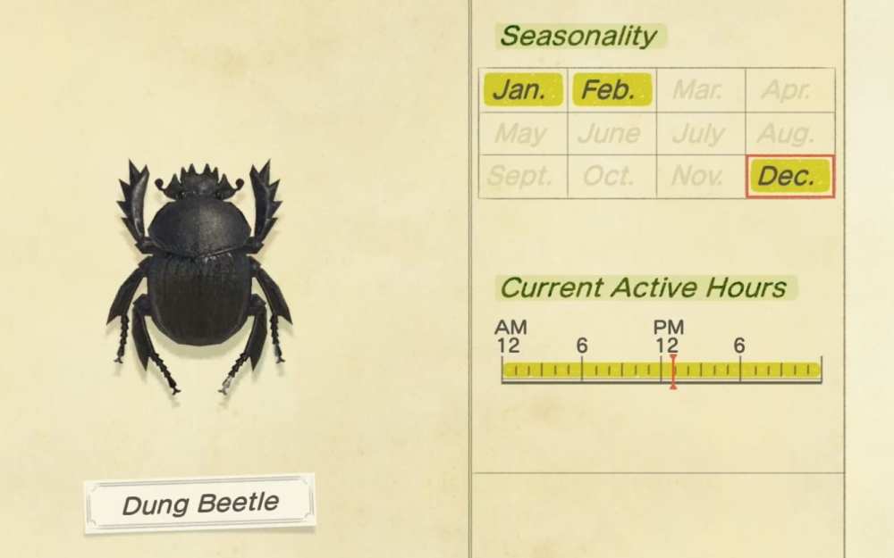 Animal Crossing New Horizons All New December Fish & Bugs You Can Catch