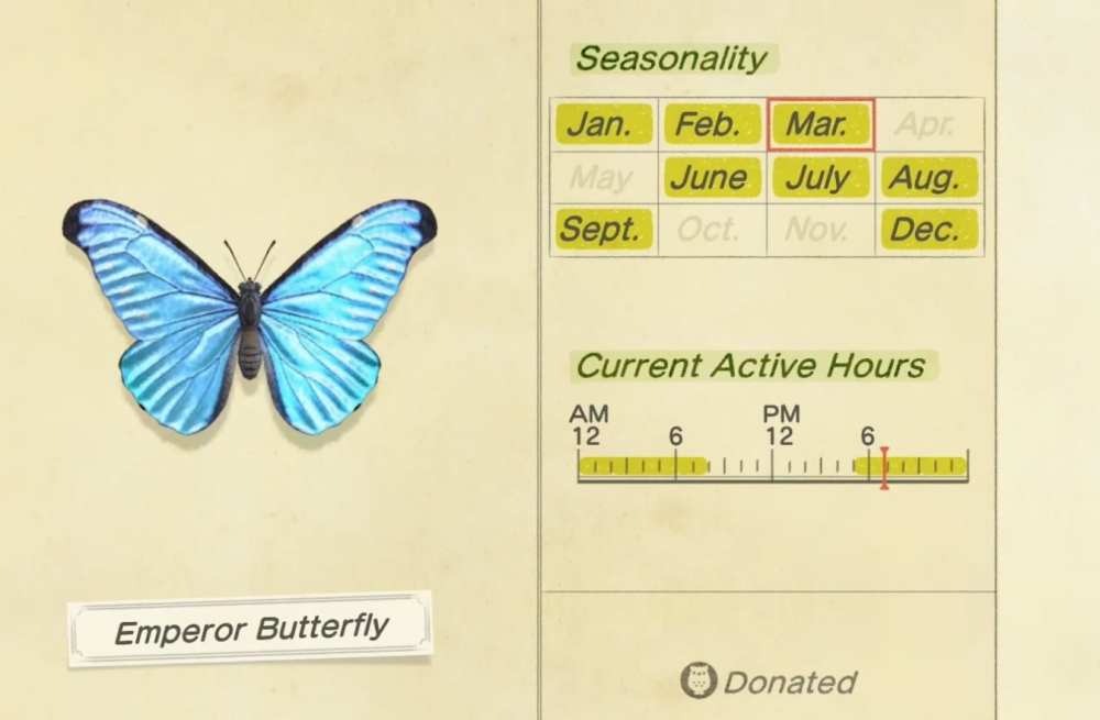 Animal Crossing New Horizons All New December Fish & Bugs You Can Catch