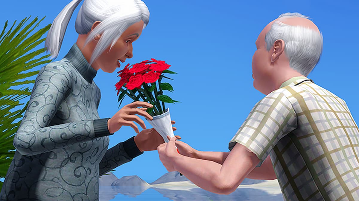 The Sims 3 NPC