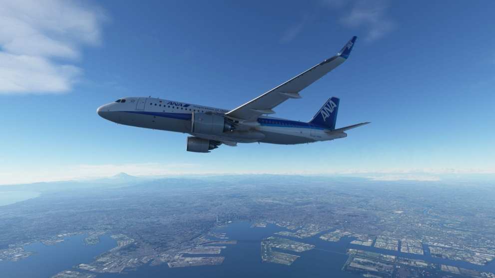 Microsoft Flight Simulator Interview