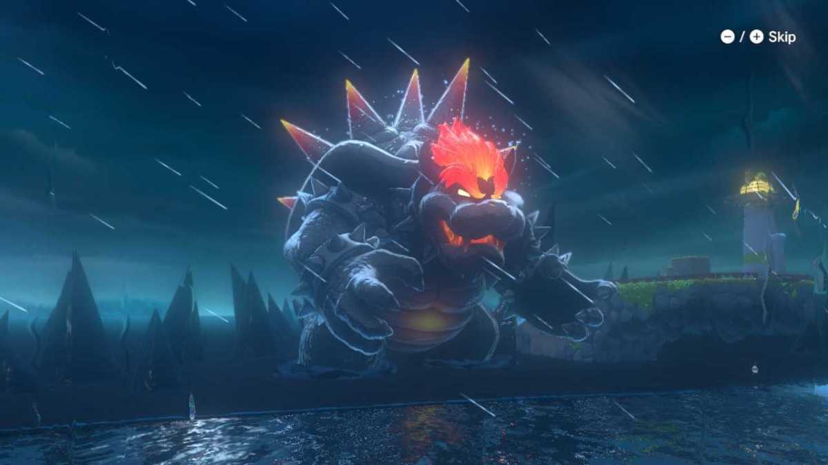 Bowsers Fury Cat Shines