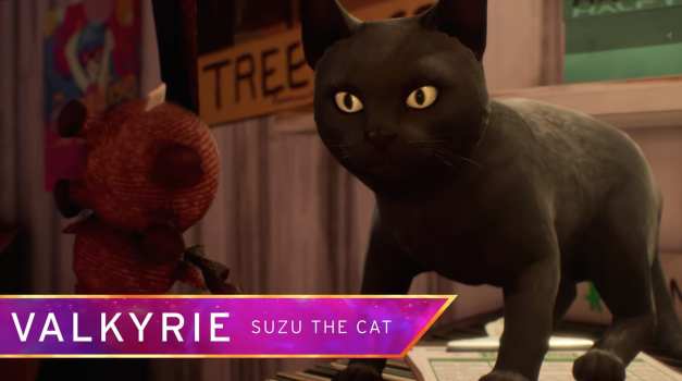 Valkyrie - Suzu the cat
