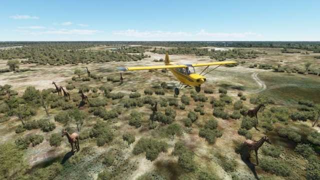 Microsoft Flight Simulator Okavango Delta