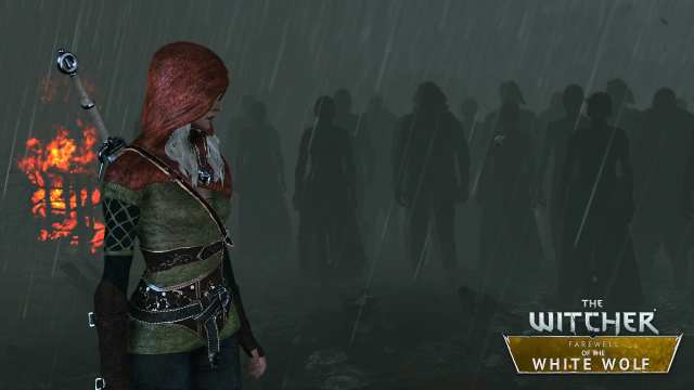 Witcher 2 mods: The essential mods for Assassins of Kings