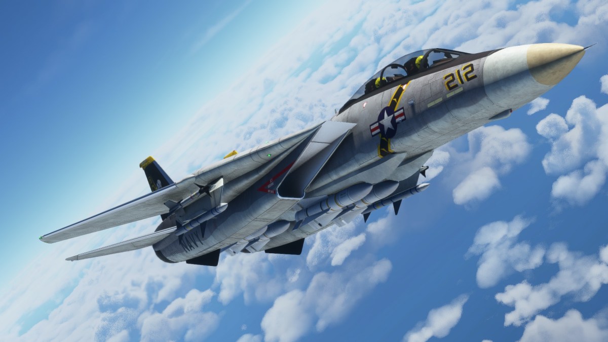 Microsoft Flight Simulator F-14